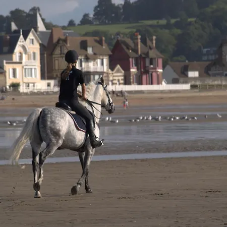 Bed and Breakfast La Maison De Manon Calvados D'hotes Bonnebosq