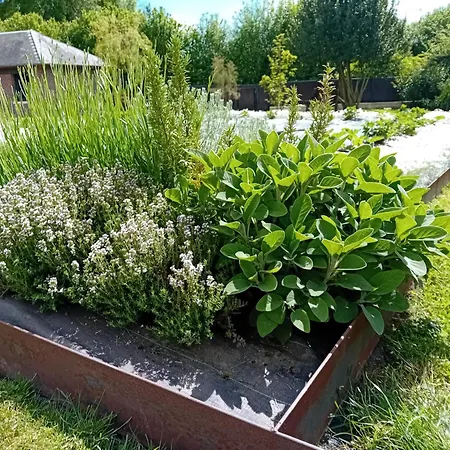 Couette-café La Maison De Manon Calvados D'hôtes 3*