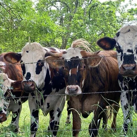 La Maison De Manon Calvados D'hotes 3*