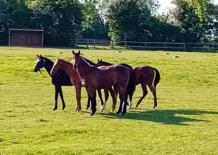 Oda ve Kahvaltı La Maison De Manon Calvados D'hotes Bonnebosq