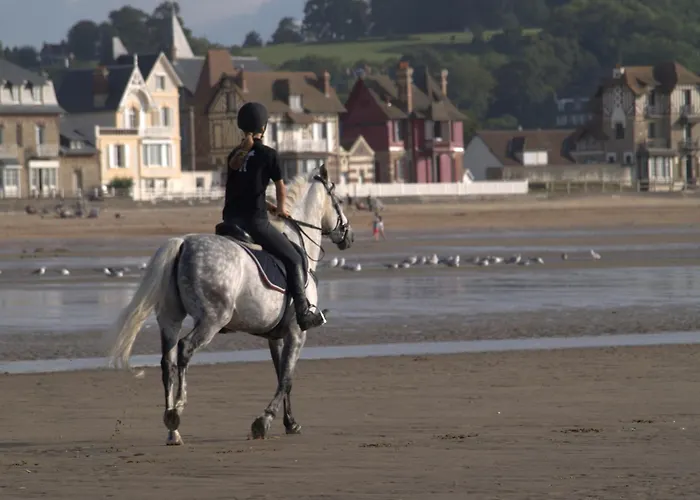 Oda ve Kahvaltı La Maison De Manon Calvados D'hotes Bonnebosq