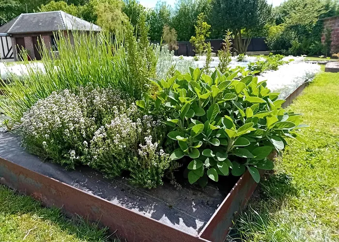 Oda ve Kahvaltı La Maison De Manon Calvados D'hotes 3*