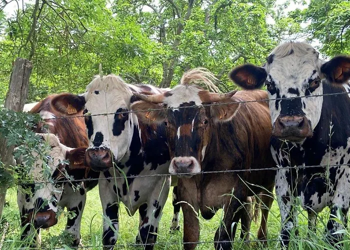 La Maison De Manon Calvados D'hotes 3*